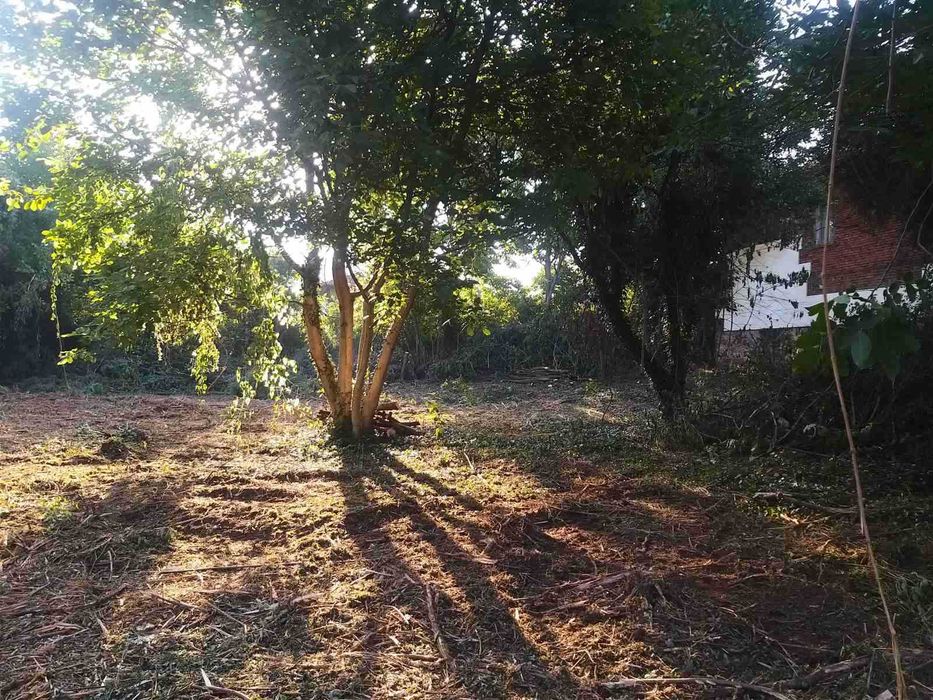 Продава се Парцел в с. Гълъбник, Област Перник - 2000 кв.м за 35 €/кв.м - Снимка #5