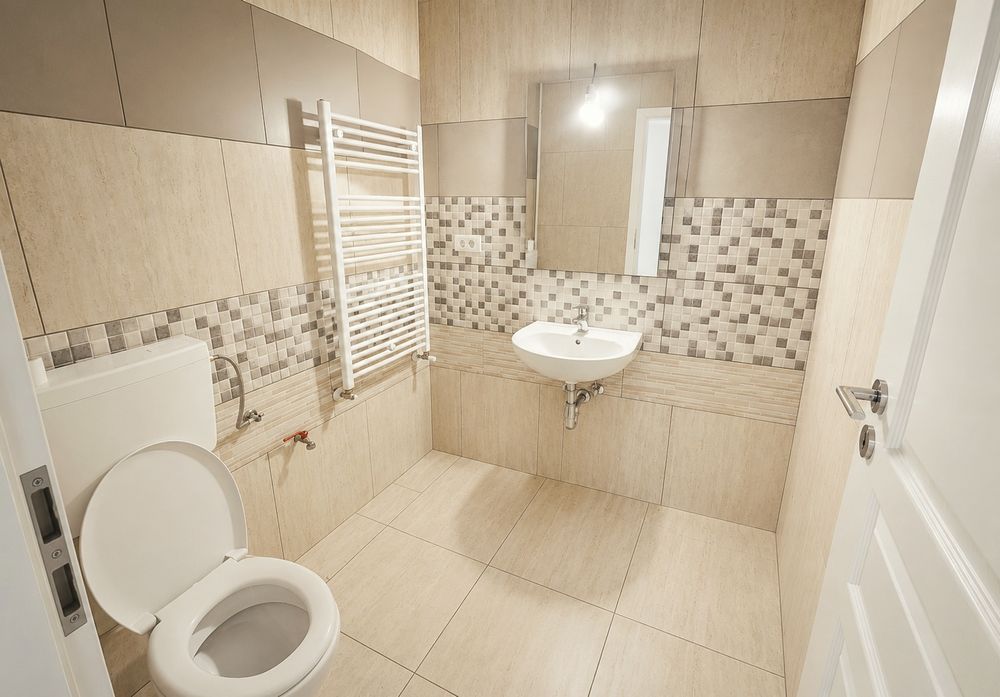 Spatiu Comercial 105mp+20mp terasa Liber