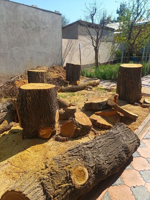 Goʻsht toʻnka sotiladi. Sifatli maxsulot kam qoldi ulgurib qoling