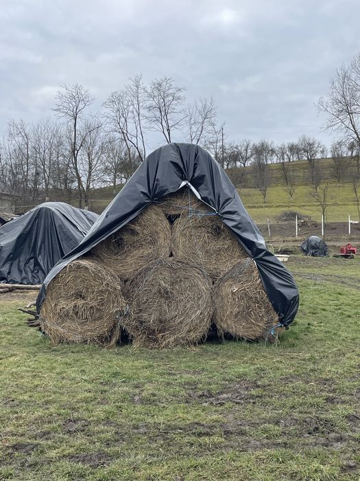 Vand baloti lucerna/fan