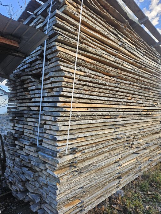 Cherestea netivita frasin