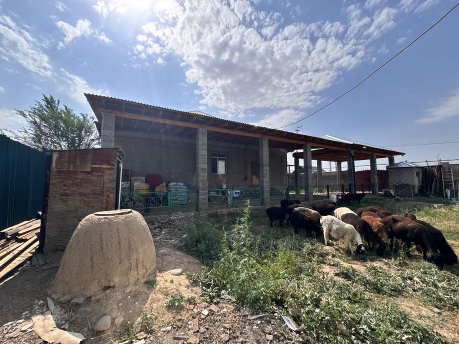 Продам дом в селе Шамалған