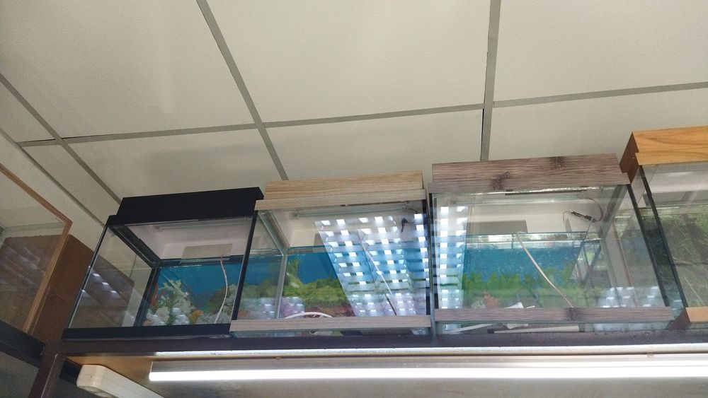 Аквариум алматы купить.НавоиФрунзе