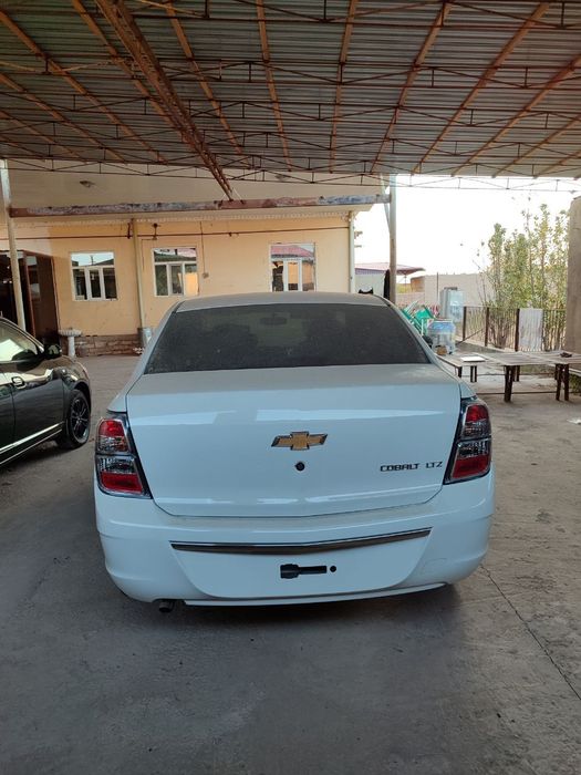 Cobalt midnight tin ozi aldingi 2025