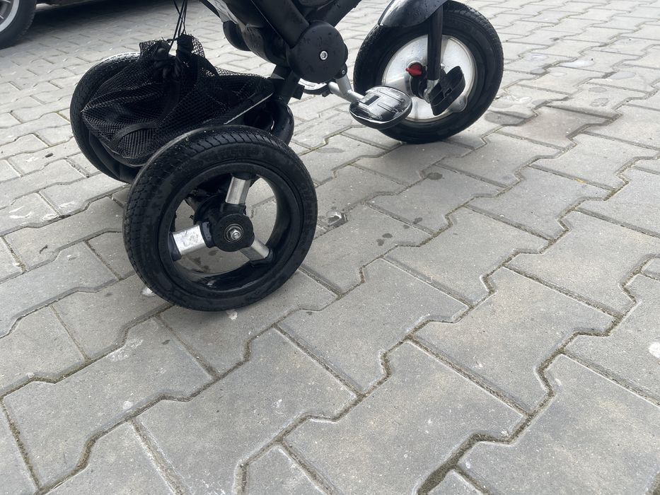 Chipolino триколка