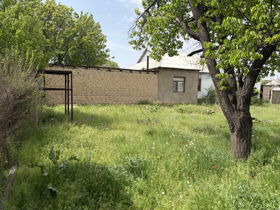 Дача Шубарсу, село Шубарсу