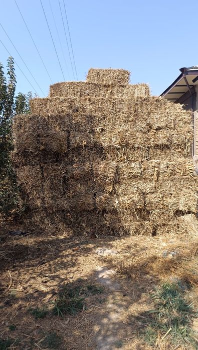 Pres mayin o'tdan qilingan