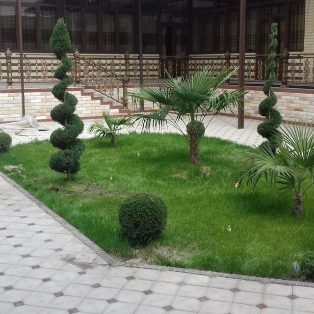 Gazon ekish,gullar ekish,bog' tomorqa ishlari