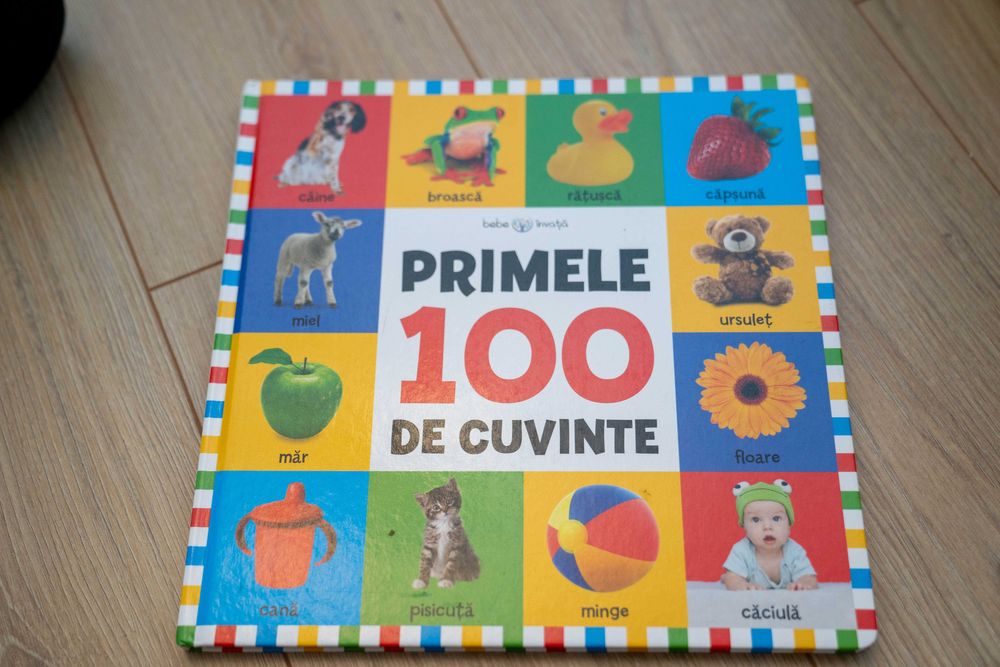 Carte pentru copii Primele 100 de cuvinte
