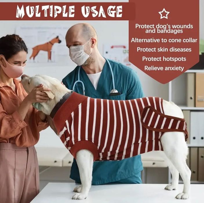 Body hăinuta recuperare medicală caini