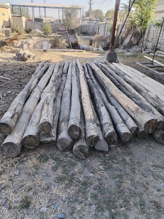 Bolor, shopil, rekalik. Yoğochlar bir6 metrlikquruq mirza terak