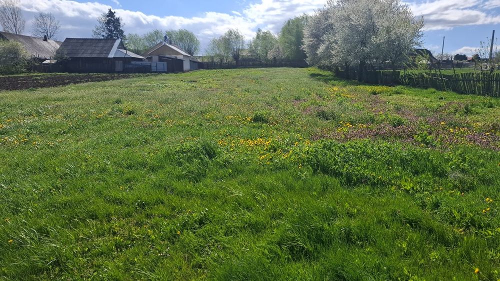 Teren intravilan 1800 mp, Pocoleni (Rădășeni) - formă dreptunghiulară, posibilitate parcelare
