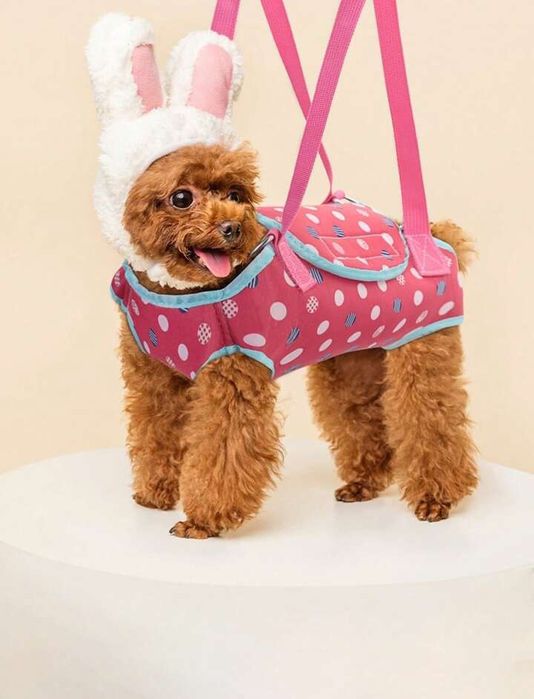 Vand gentuta pentru catel/pisica