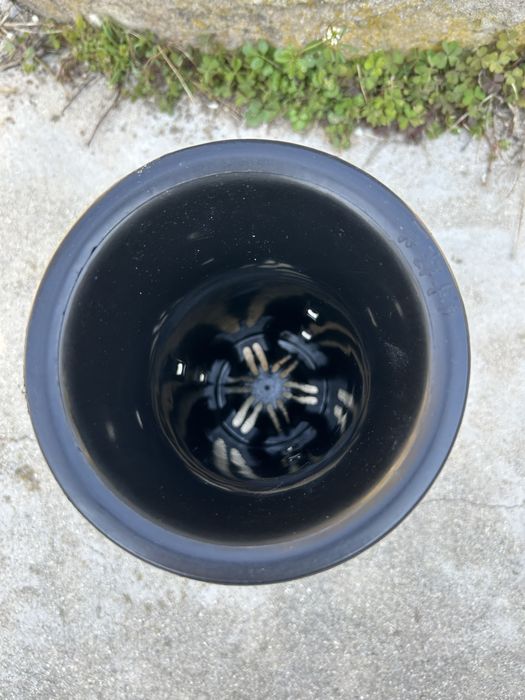 Саксия за орхидеи