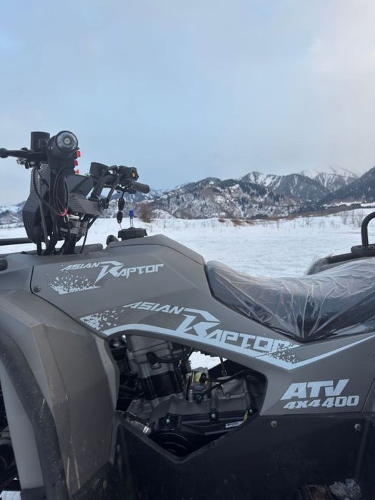 Азиан Раптор 400 куб