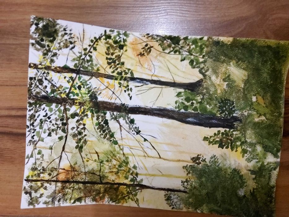 Cadouri picturi acuarela