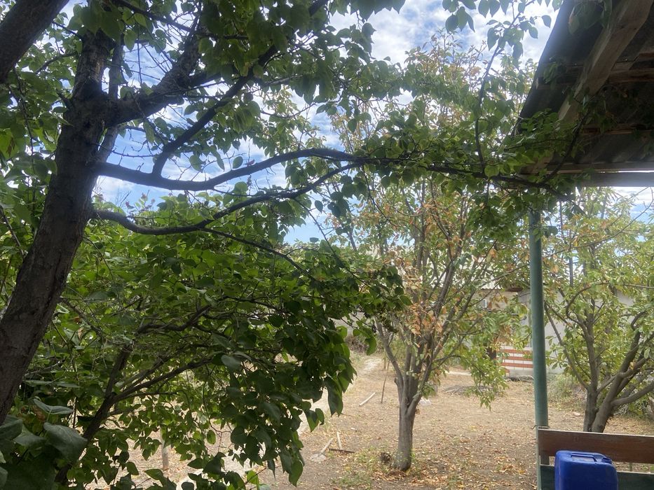 Дом частный продам