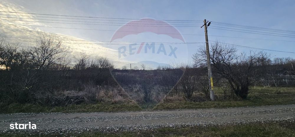 Teren 2.500mp, sat Odobești, com. Odobești, jud. Bacău - Vedere 3