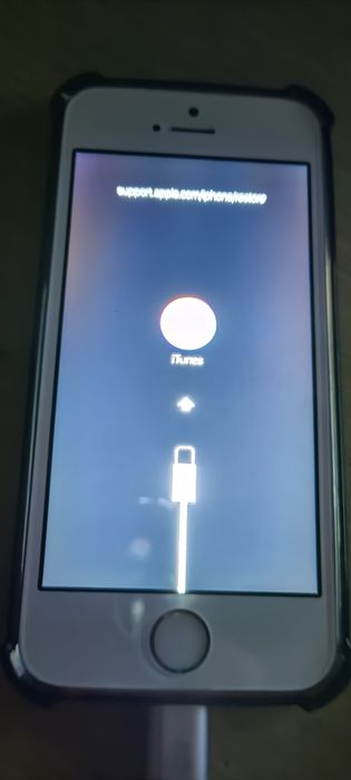 iPhone 5 s 64 gb и за того что режим Рекавери 10 к