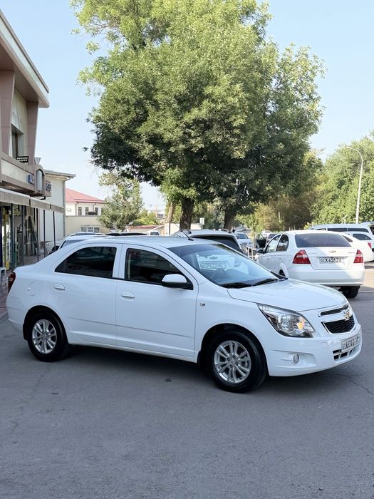 Aredaga Koblt 2024