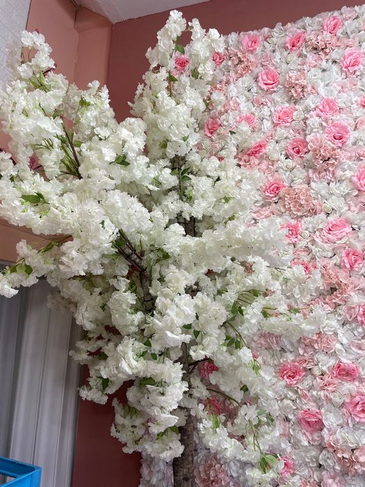 Продавам декоративно дърво!