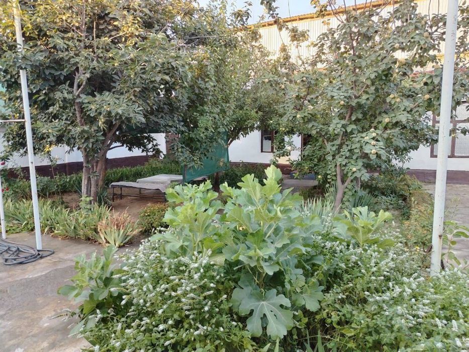 Uchaska sotiladi Ona bola ro'parasi o'tkir mahalla. 4.34 soth