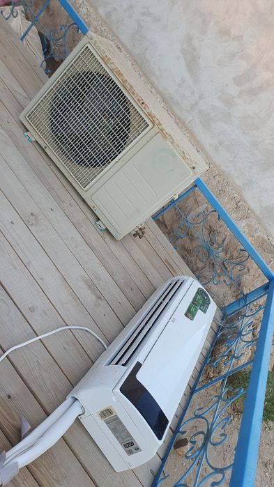 12 лик зима лето сатылады