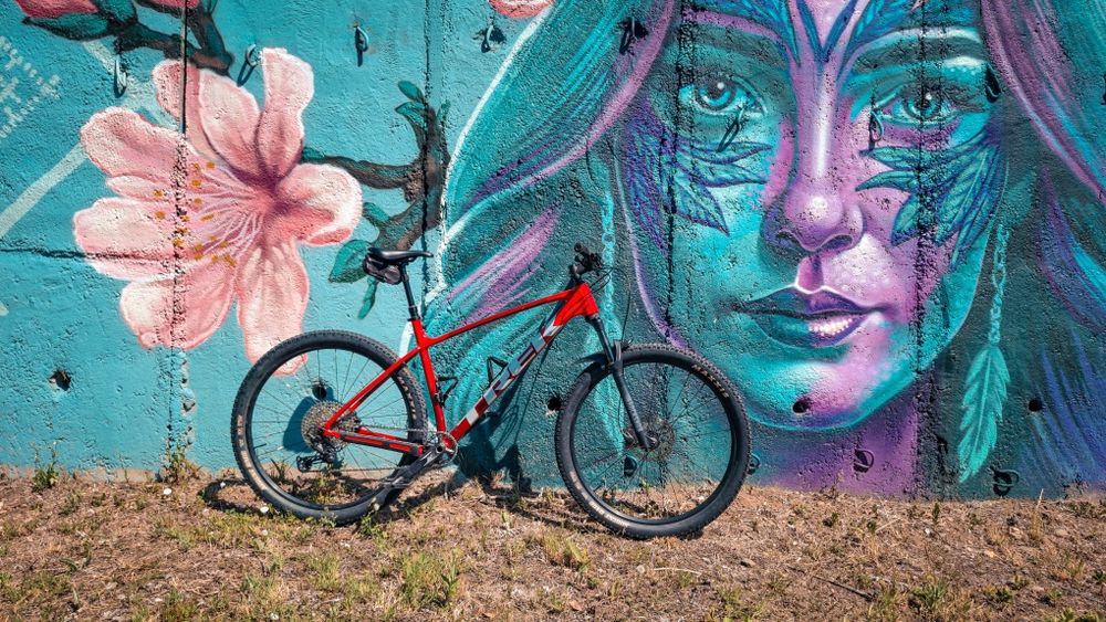 Trek Procaliber 6 (2024) XL