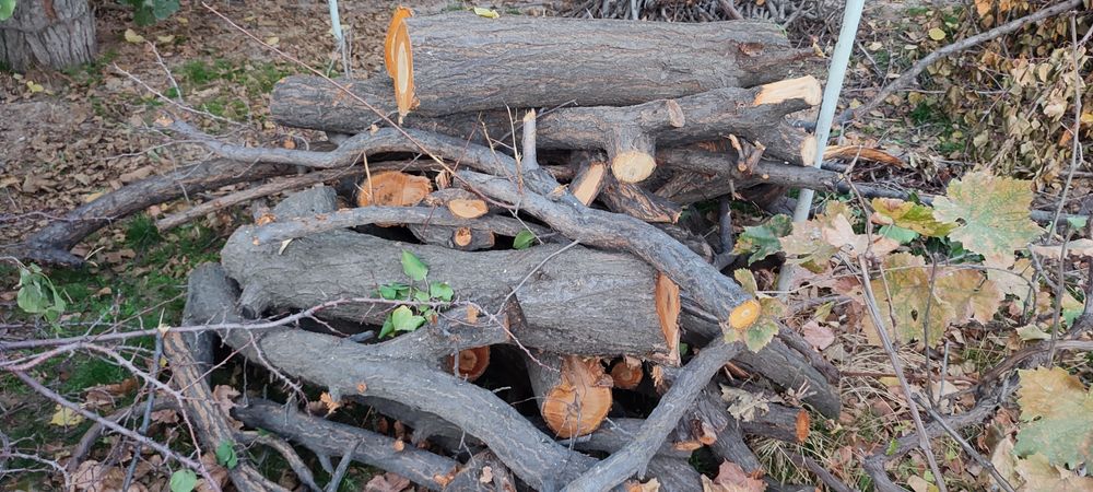 Большие дрова. Katta otin