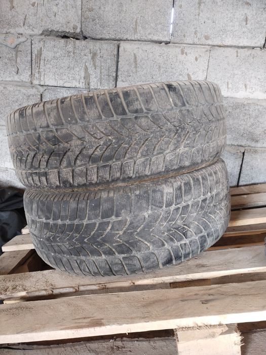 Зимний балон бар жаксы жагдайга