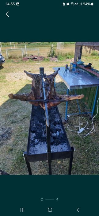 Rotisor protap profesional