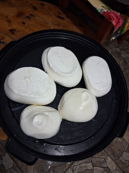 Teleama de oaie veche 30 lei kg relati la nr de telefon