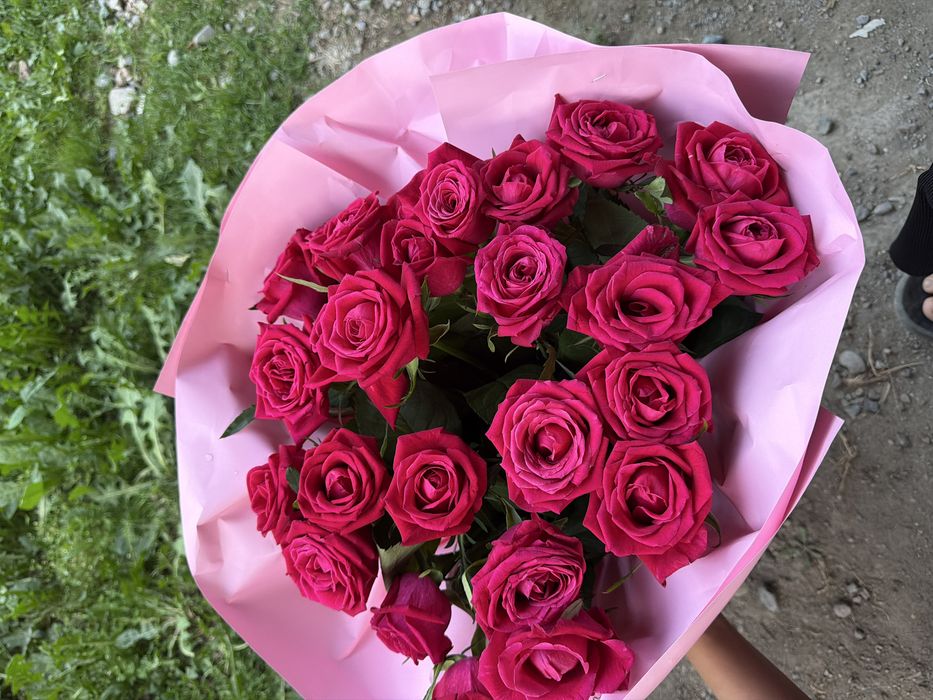 Продам розовые розы 25 штук