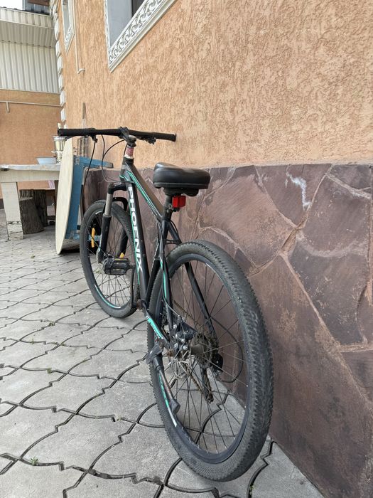 Велосипед Phoenix