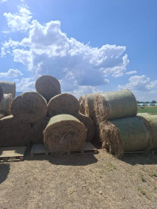 Продавам ролонки люцерна с сено