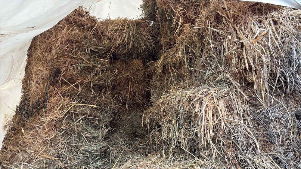 Se vand baloti dreptunghiulari