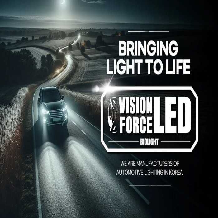 LED крушки Automat, Canbus, Mini, 9012, 12000LM, 12V, 6000K