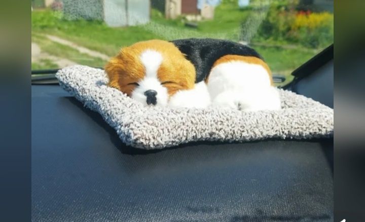 Аксессуар для машины