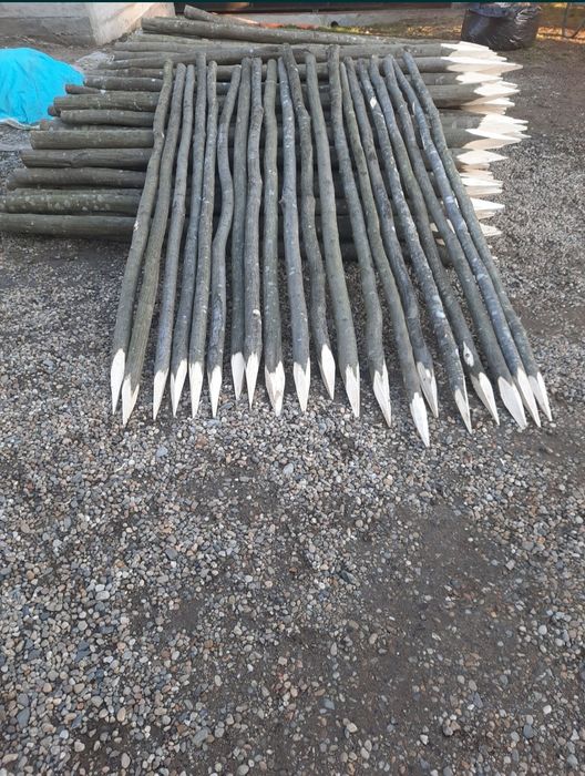 Pari pentru legume, rosii , fasole / Araci gard / Stâlpi gard electric