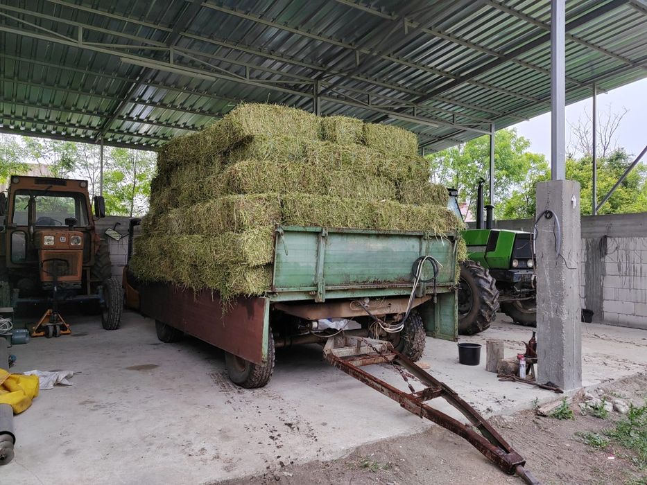 Baloti lucerna dreptunghilari