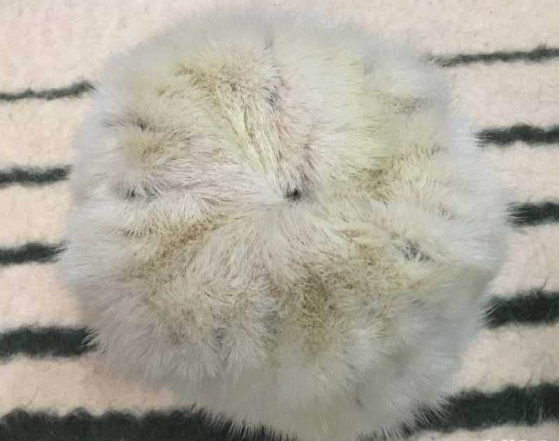 Caciula De Blana Pentru Dame - Cadoul Ideal Pentru Partenera Ta