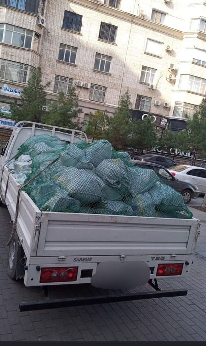 Musir ситиройка мусир olib ketish