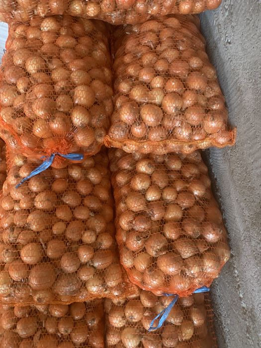 Ceapa galbena de vanzare