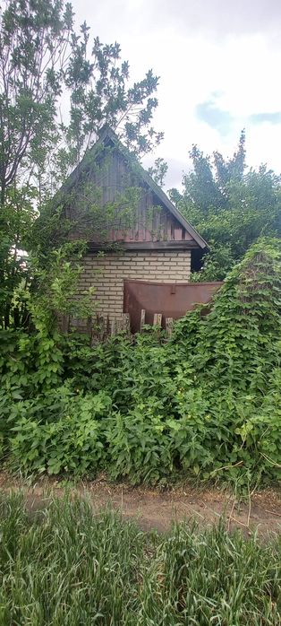 Продам дачу СО "ЭЛЕВАТОРЩИК "