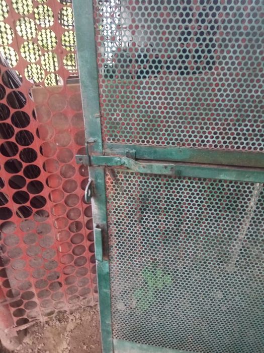 Дверь железная перфорированная.