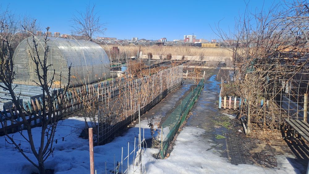 Садовый участок с домиком