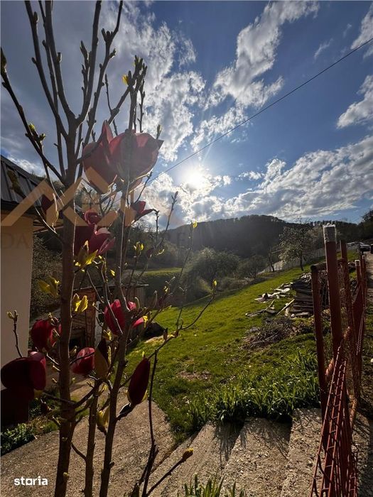 Teren intravilan , ideal cabane, Baita , zona centrala