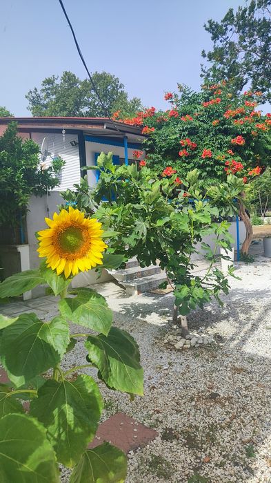 Вила Агора Аспровалта.