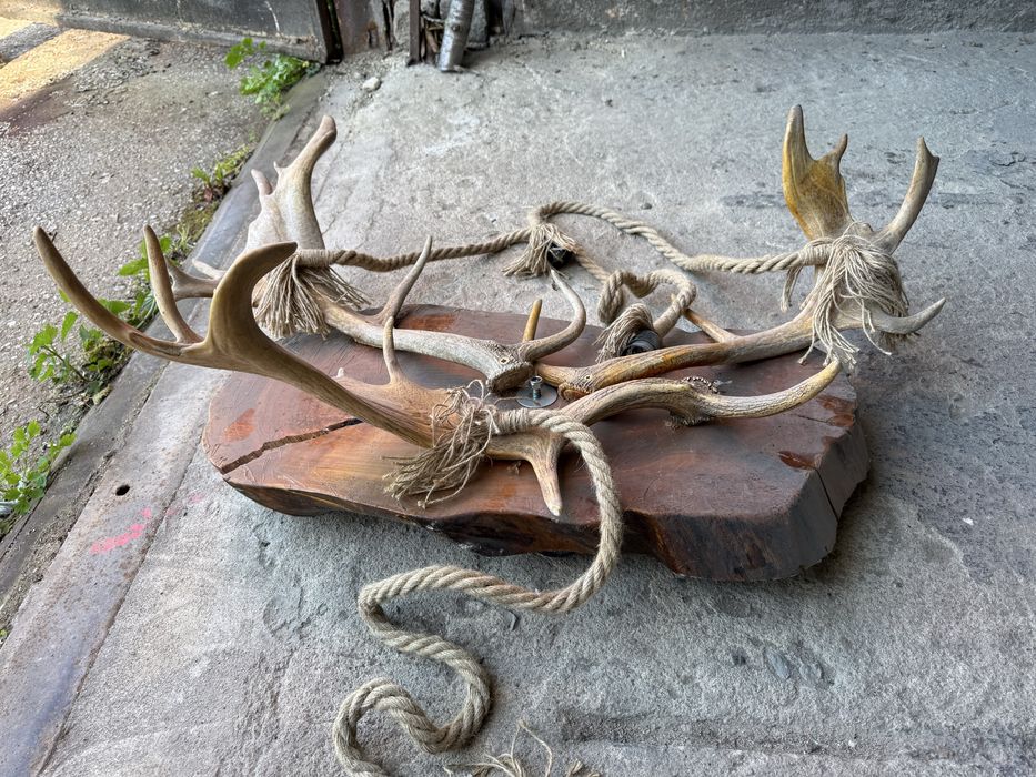 Полилей от естествени еленски рога (лопатар)