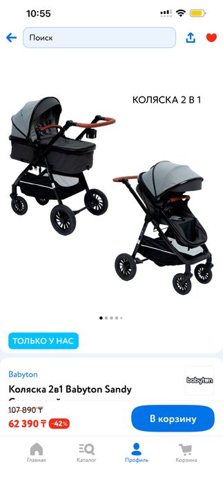 Коляска 2в1 Babyton Sandy